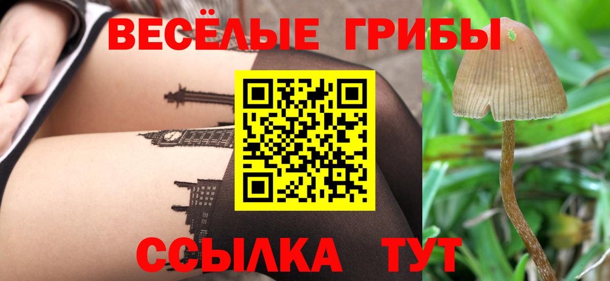 Псилоцибиновые грибы Psilocybe Нягань