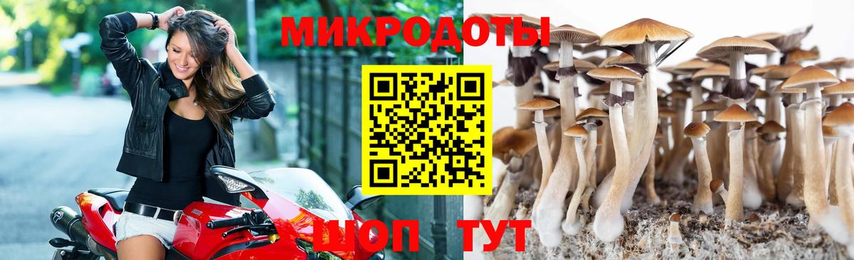 Нягань  Псилоцибиновые грибы прущие грибы  Вход с VPN 